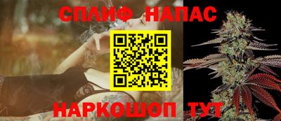 молекула духа Волжский