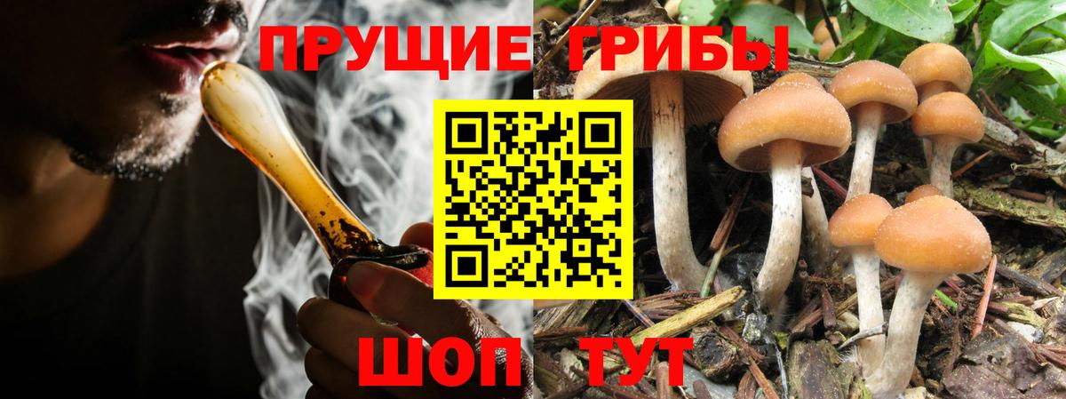 Псилоцибиновые грибы Magic Shrooms Хабаровск